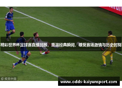 精彩世界杯足球赛直播回放，重温经典瞬间，感受赛场激情与历史时刻