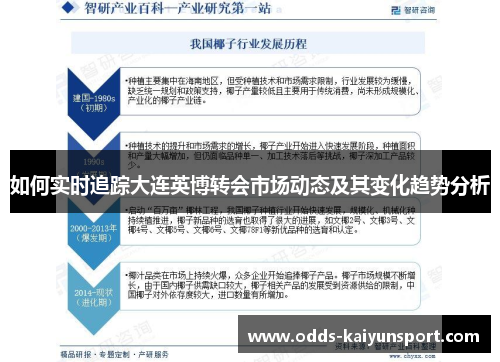 如何实时追踪大连英博转会市场动态及其变化趋势分析