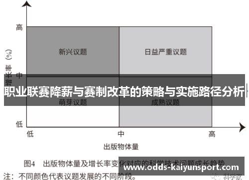 职业联赛降薪与赛制改革的策略与实施路径分析